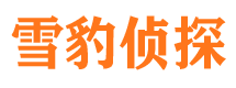 天心外遇出轨调查取证